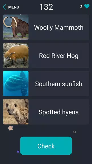 Quiz: Guess the weight. Questions & Answers.Trivia Screenshot 4