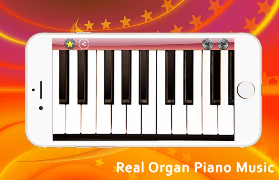 Real Organ Piano Music Screenshot 2