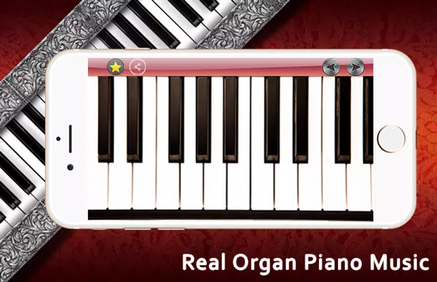 Real Organ Piano Music Screenshot 1