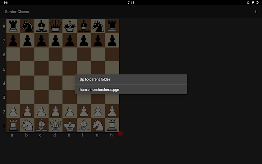 Senior Chess Screenshot 1