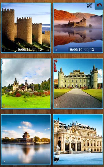 Castle Jigsaw Puzzles Screenshot 2