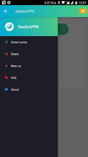 GeckoVPN Free Fast Unlimited Proxy VPN Screenshot 2
