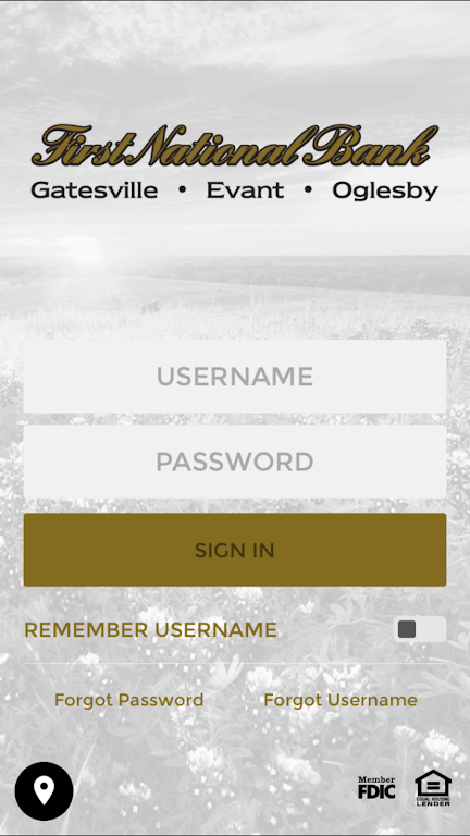 First National Bank - Evant Screenshot 1