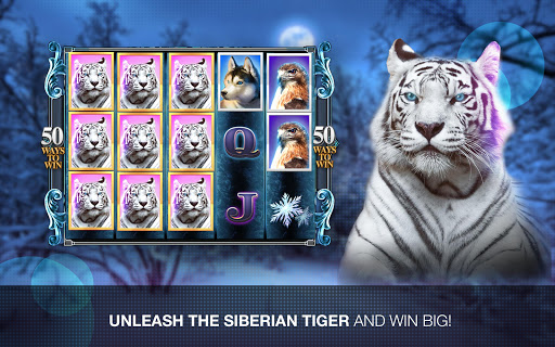 Slots Super Tiger Casino Slots Screenshot 4