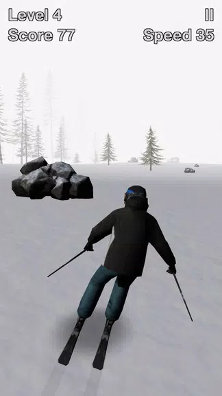 Alpine Ski III Screenshot 2