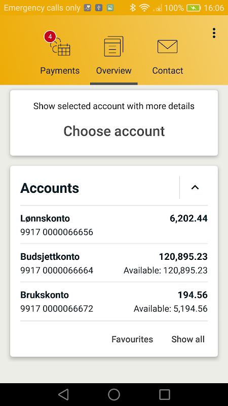 Sparbanken Syd Screenshot 3