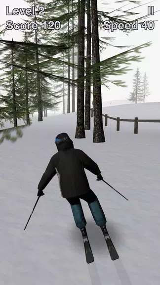 Alpine Ski III Screenshot 1