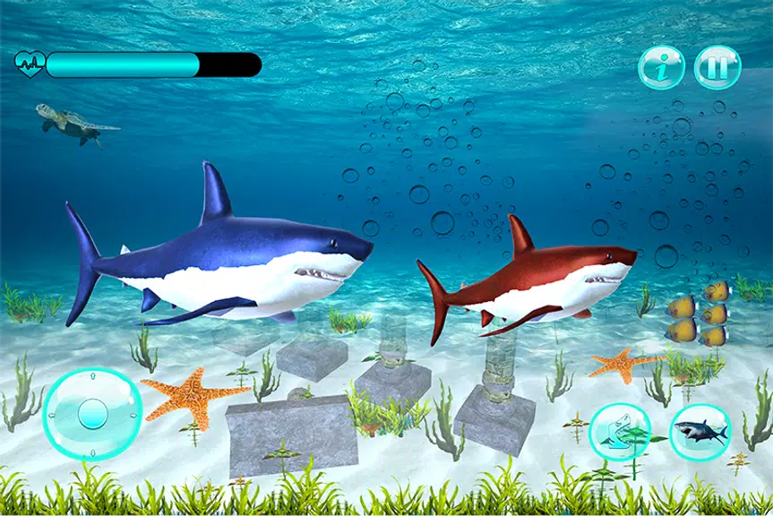 Big Shark Vs Small Sharks Screenshot 4