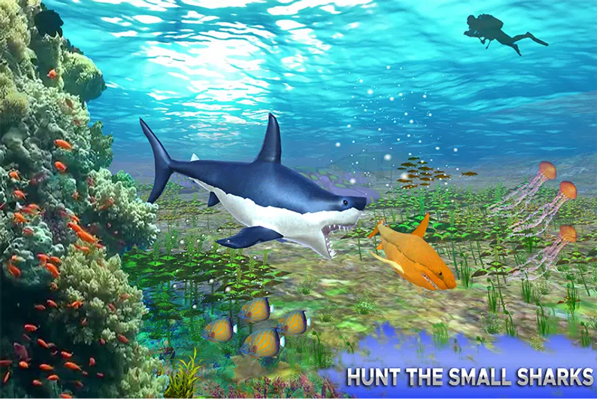 Big Shark Vs Small Sharks Screenshot 3