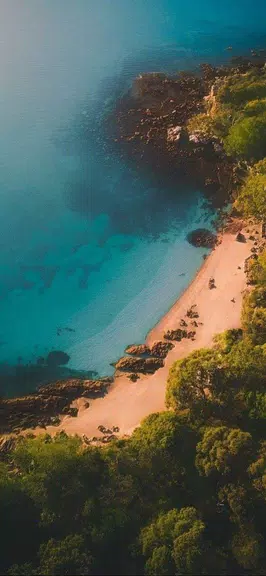 JustMiro Screenshot 3