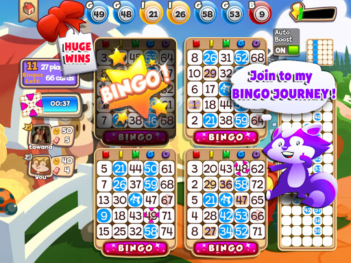 Bingo Raccoon Screenshot 3
