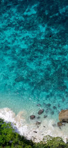 JustMiro Screenshot 1