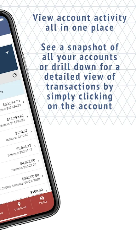 Independence Bank Screenshot 2