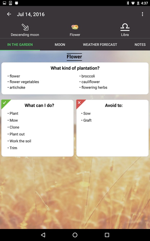 Moon & Garden Screenshot 4