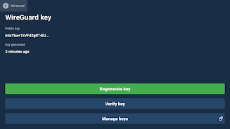 Mullvad VPN Screenshot 7