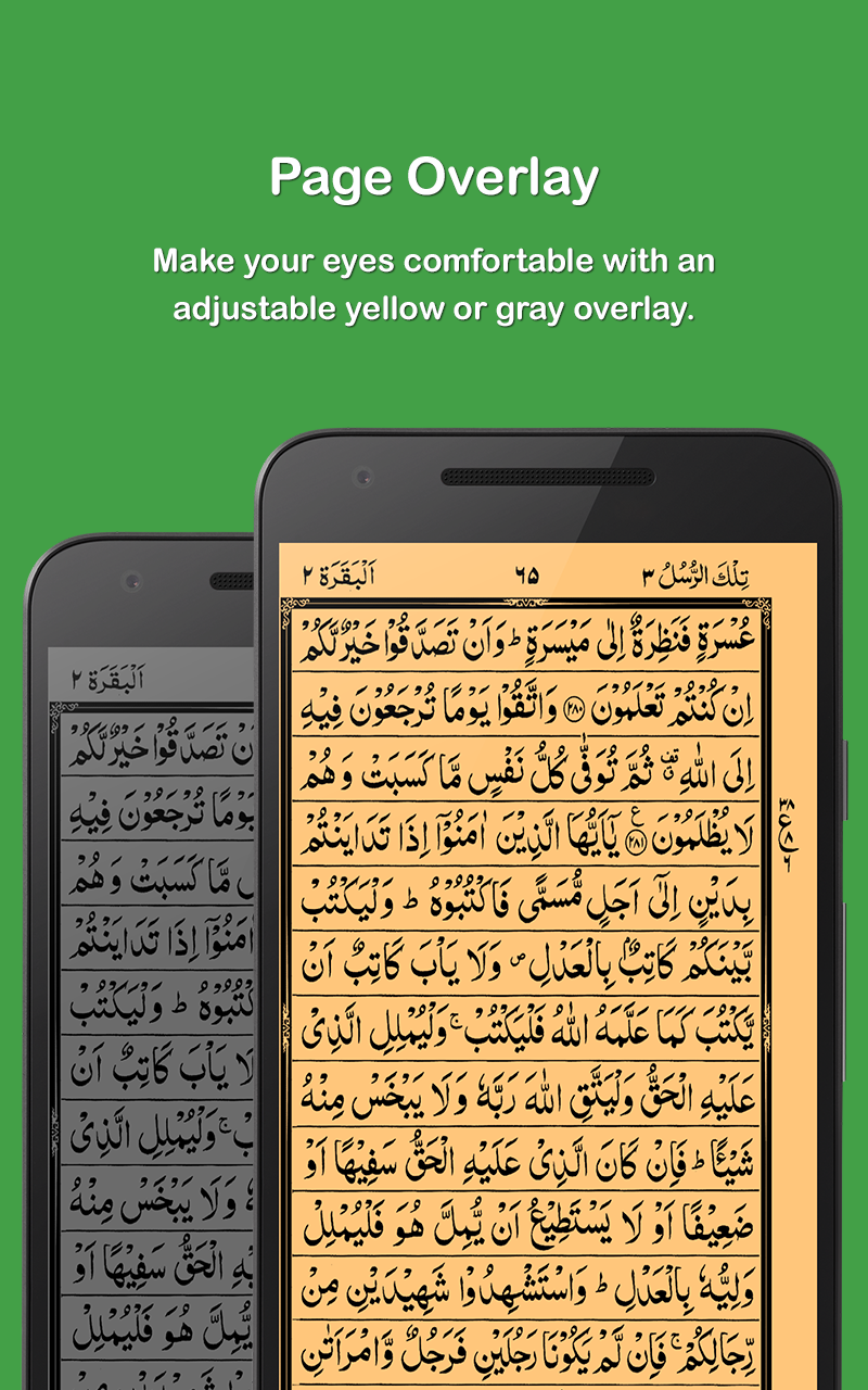 HOLY QURAN - القرآن الكريم Screenshot 5