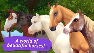 Star Stable Online Screenshot 5
