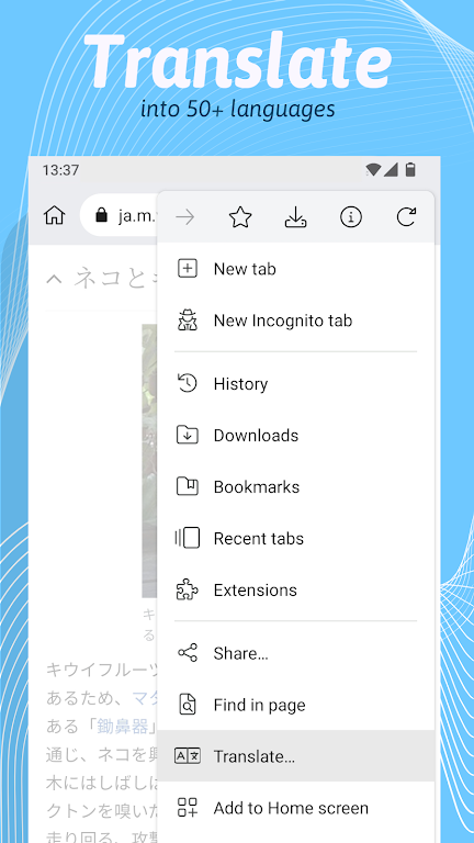 Kiwi Browser Screenshot 4