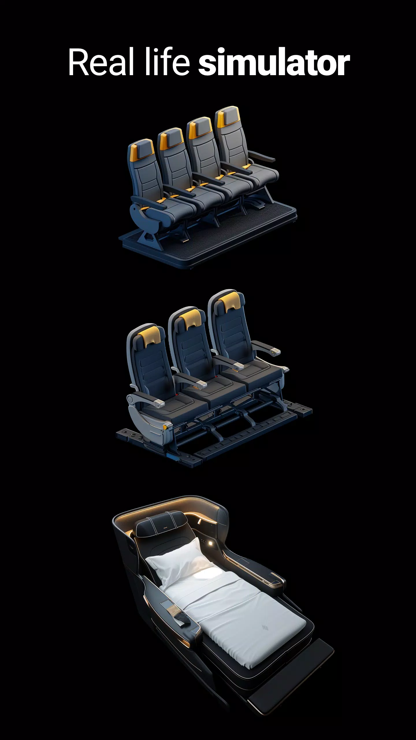 Airline Screenshot 3