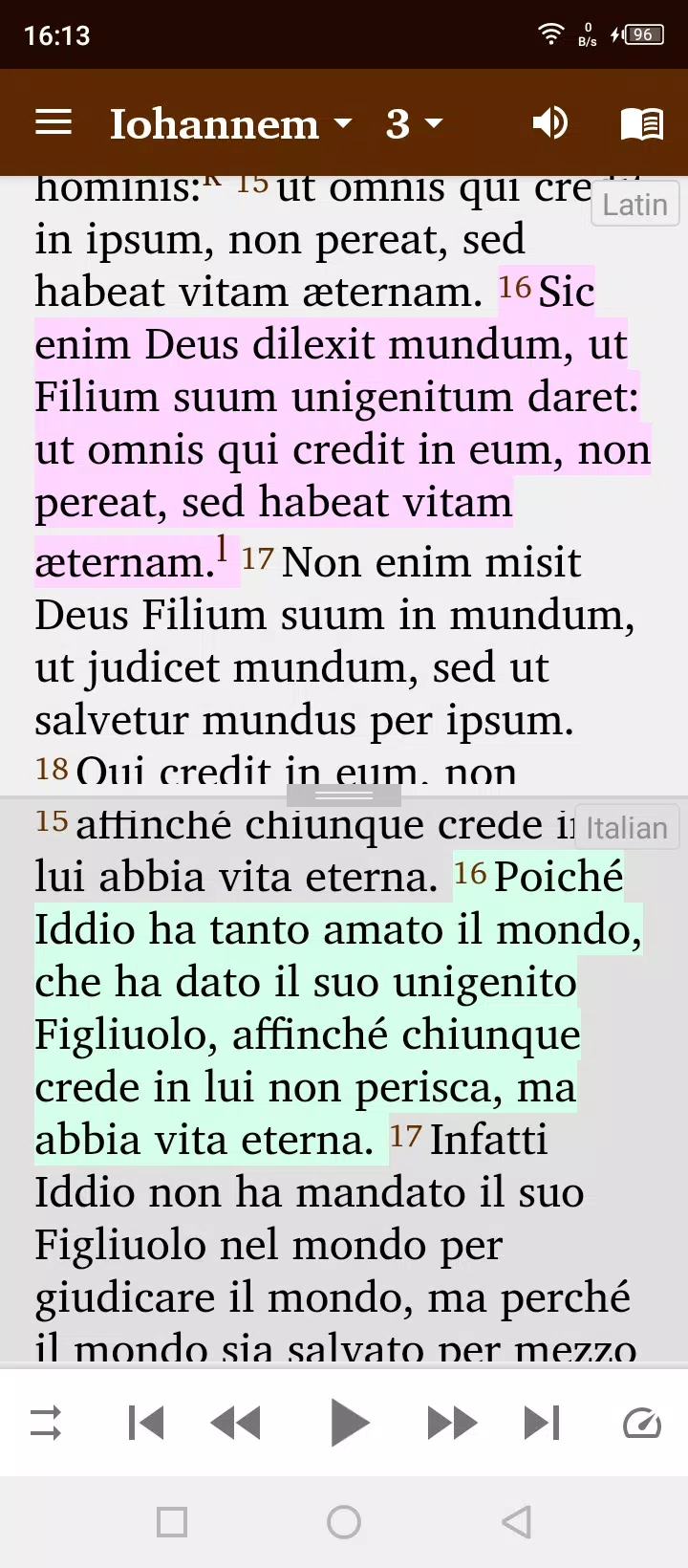 Latin English Screenshot 7