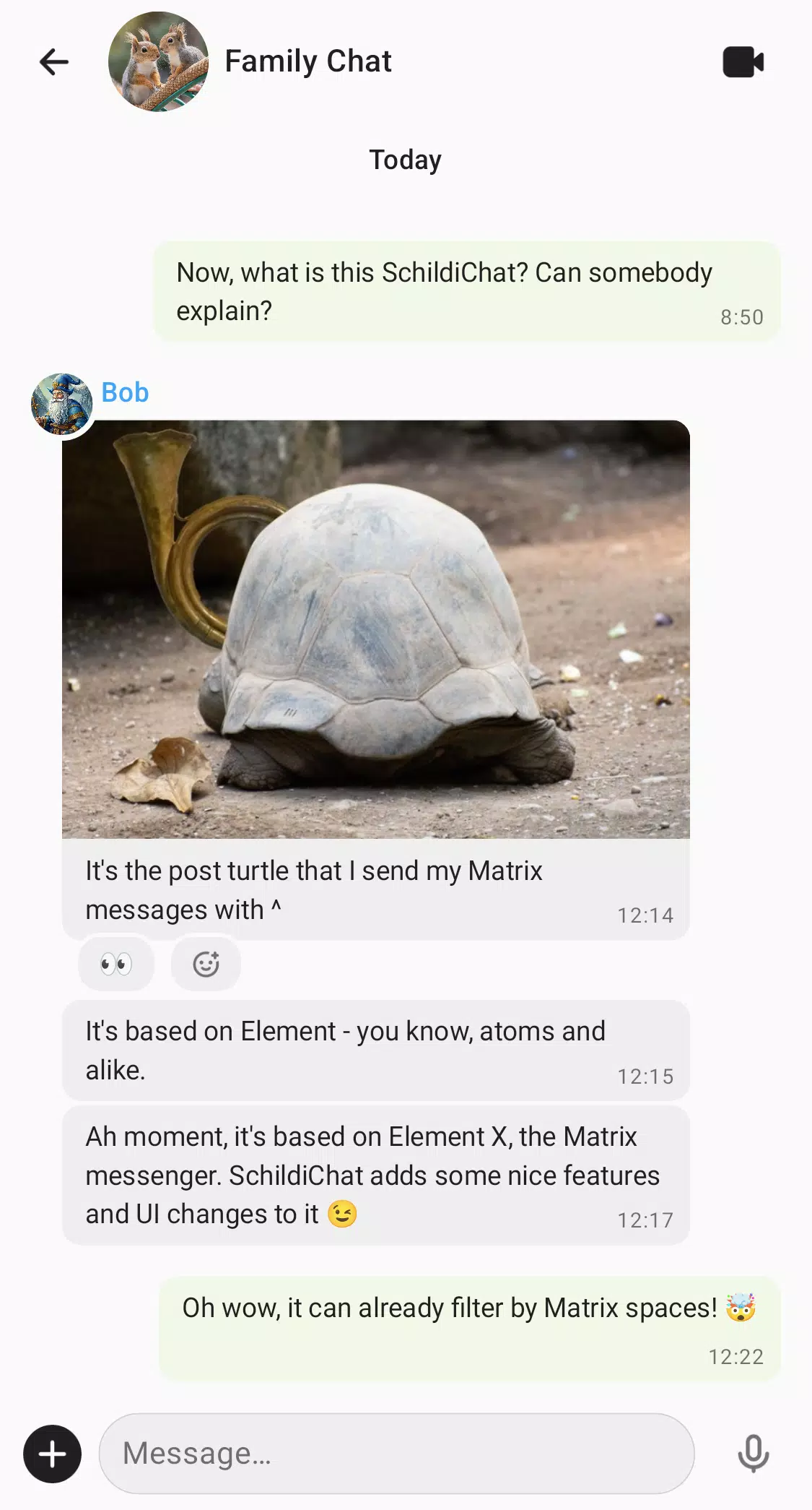 SchildiChat Next Screenshot 2