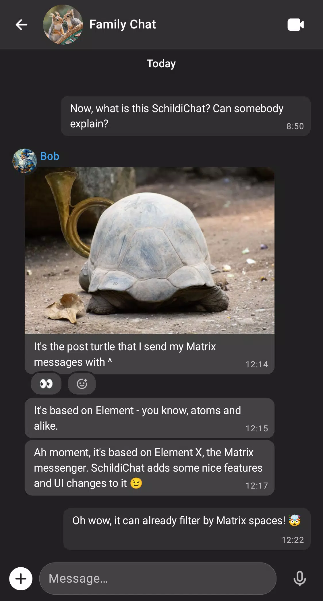 SchildiChat Next Screenshot 3