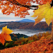 Falling Leaves Live Wallpaper Topic
