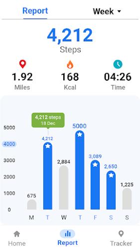 Pedometer - Step Tracker Screenshot 8