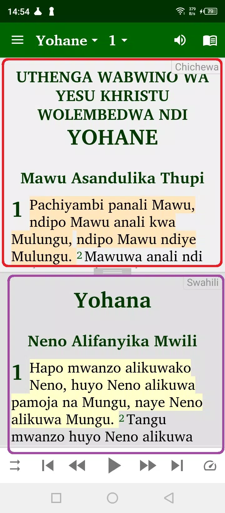 Chichewa Yao English Swahili Screenshot 8