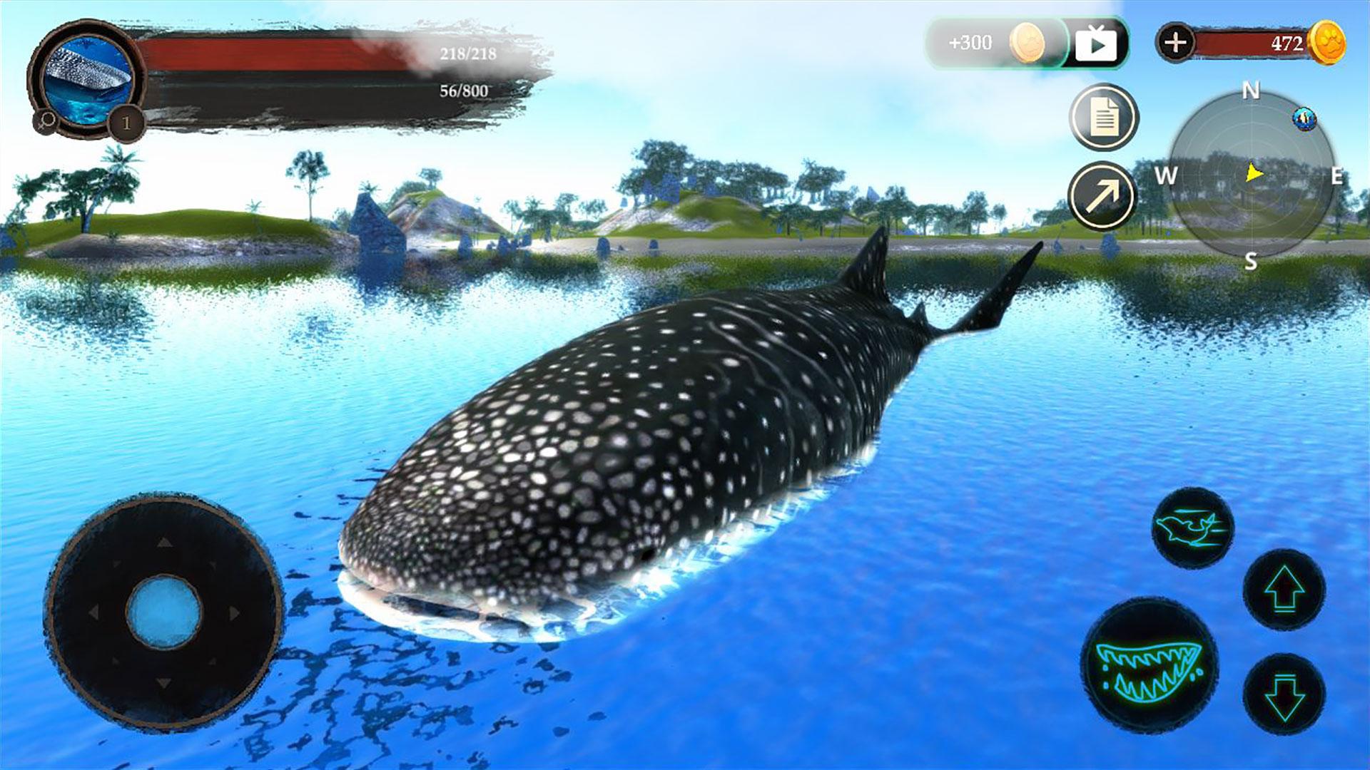 The Whale Shark Screenshot 8