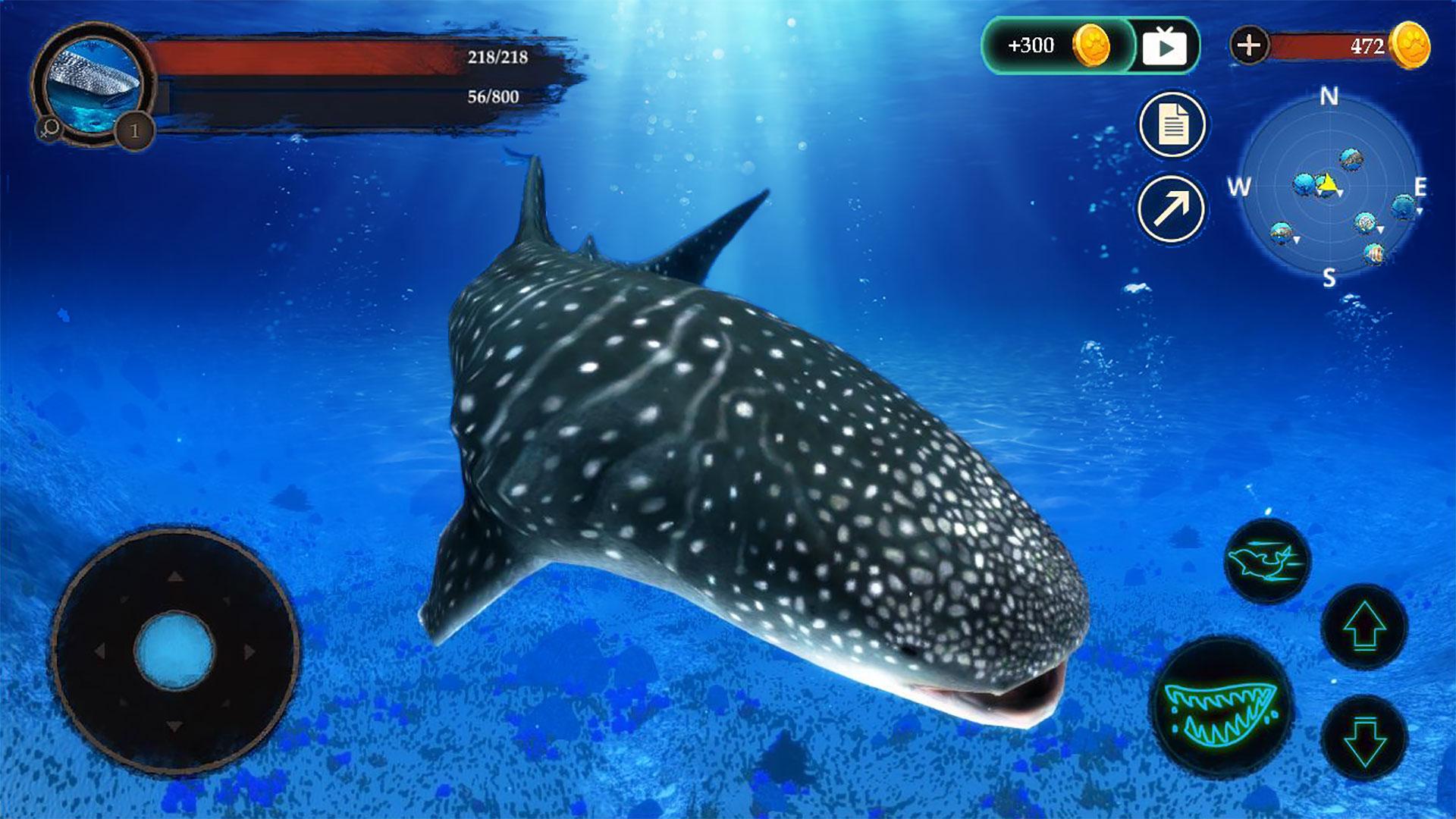 The Whale Shark Screenshot 4