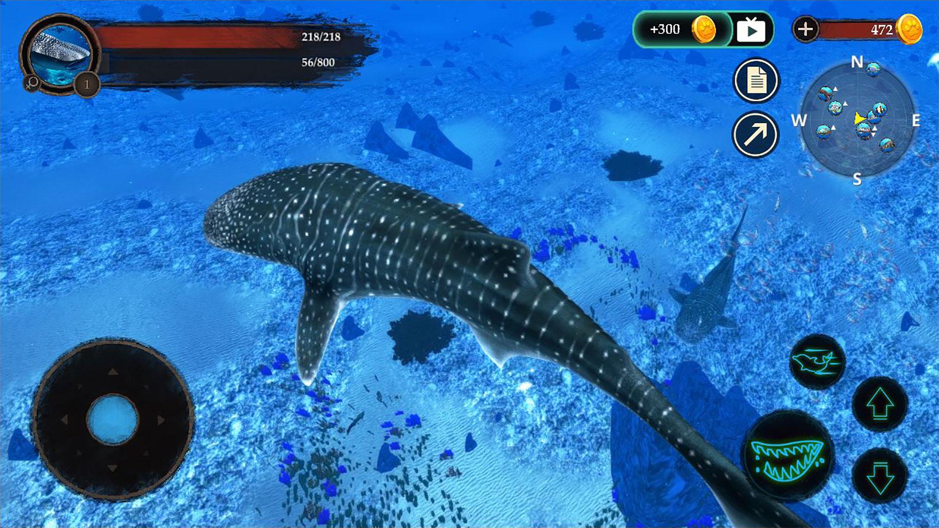 The Whale Shark Screenshot 7