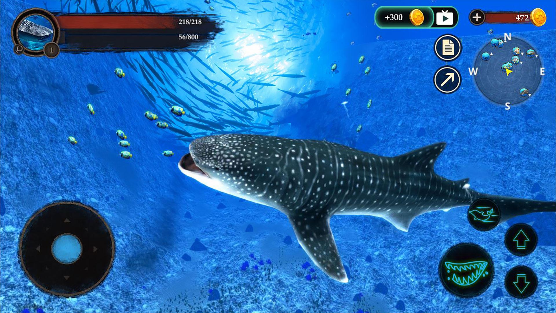 The Whale Shark Screenshot 2