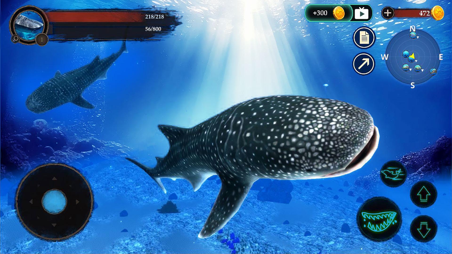 The Whale Shark Screenshot 6