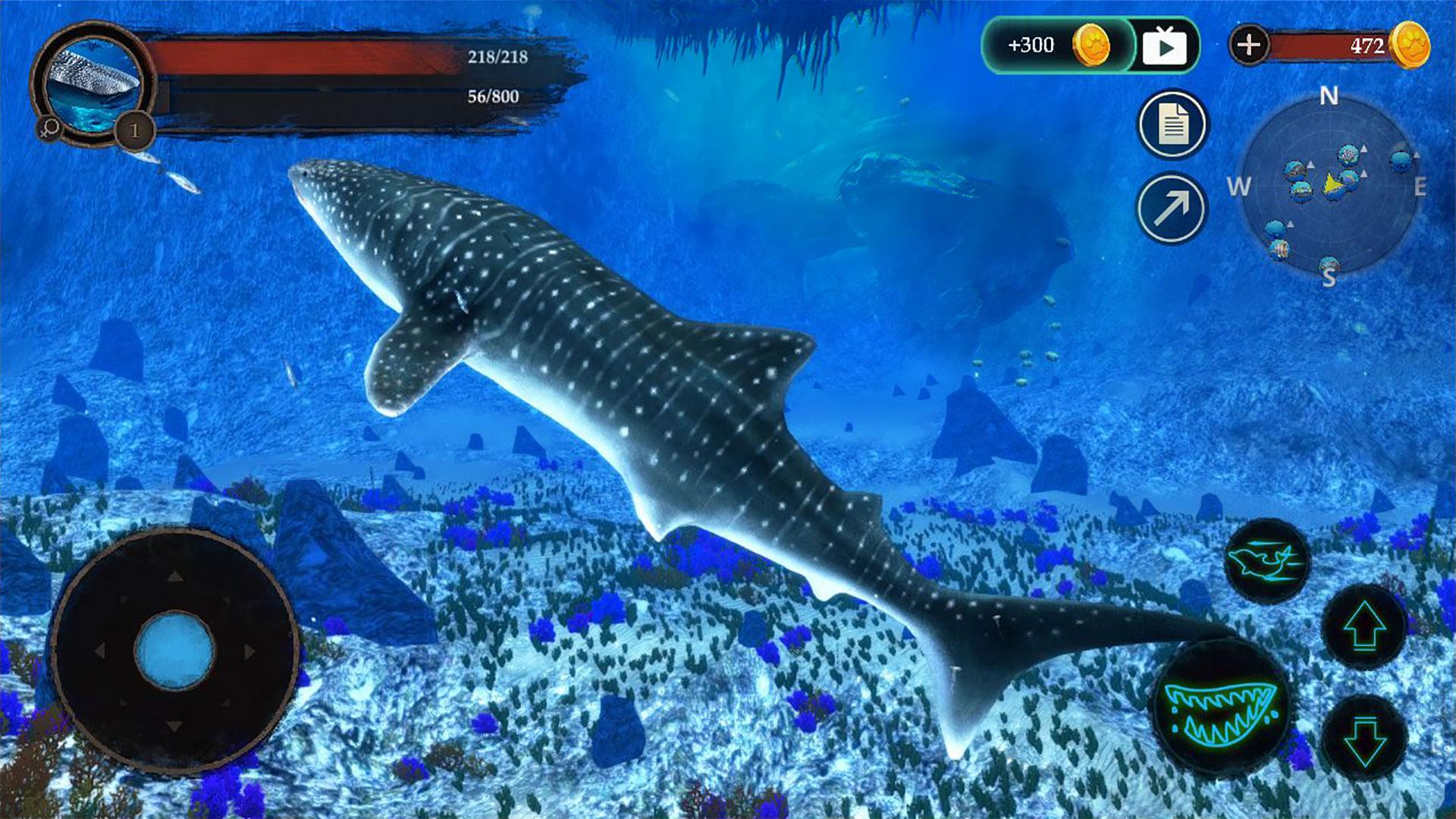 The Whale Shark Screenshot 5