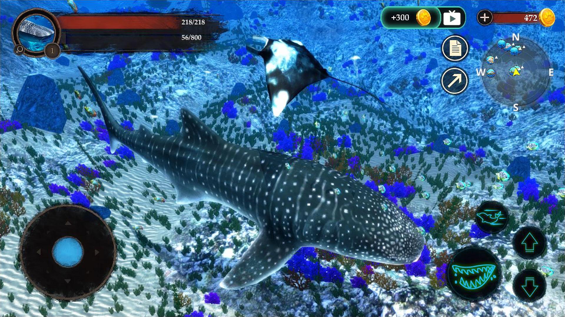 The Whale Shark Screenshot 3