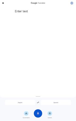 Google Translate Screenshot 3