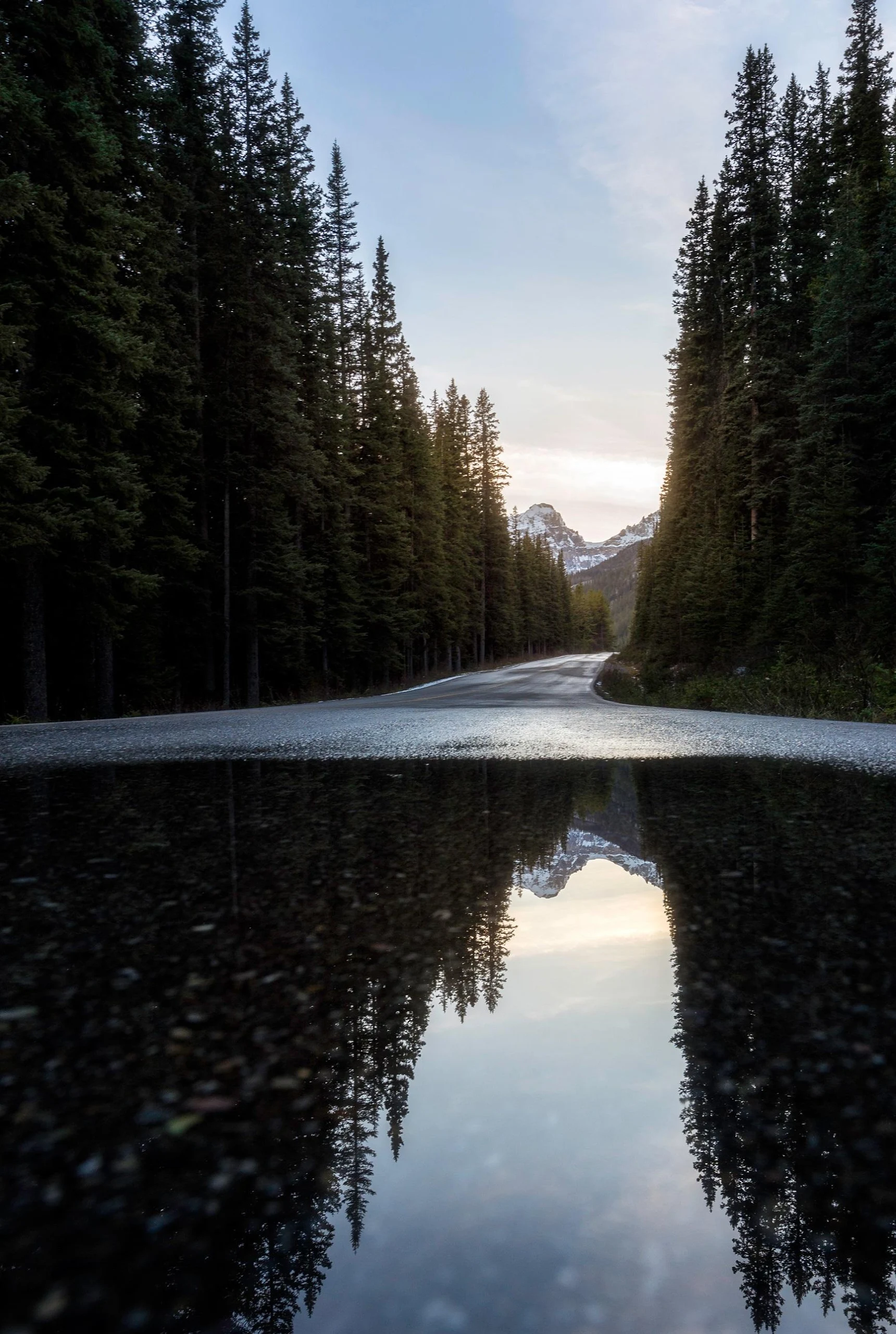 통합 시외버스 예매 (IntercityBUS) Screenshot 3