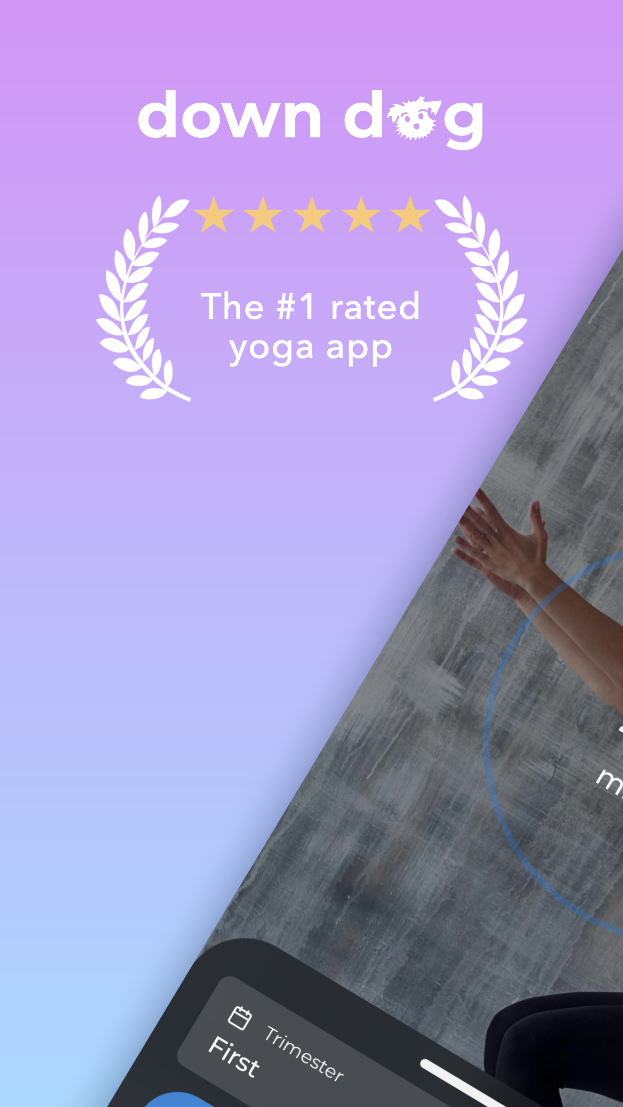 Prenatal Yoga Screenshot 1