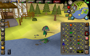 Old School RuneScape Screenshot 14