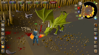 Old School RuneScape Screenshot 20