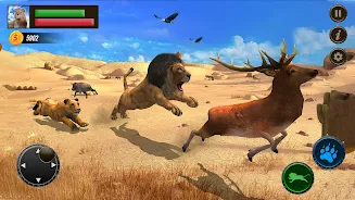 Jungle Kings Kingdom Lion Screenshot 7