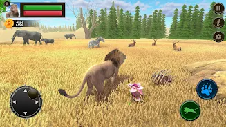 Jungle Kings Kingdom Lion Screenshot 5