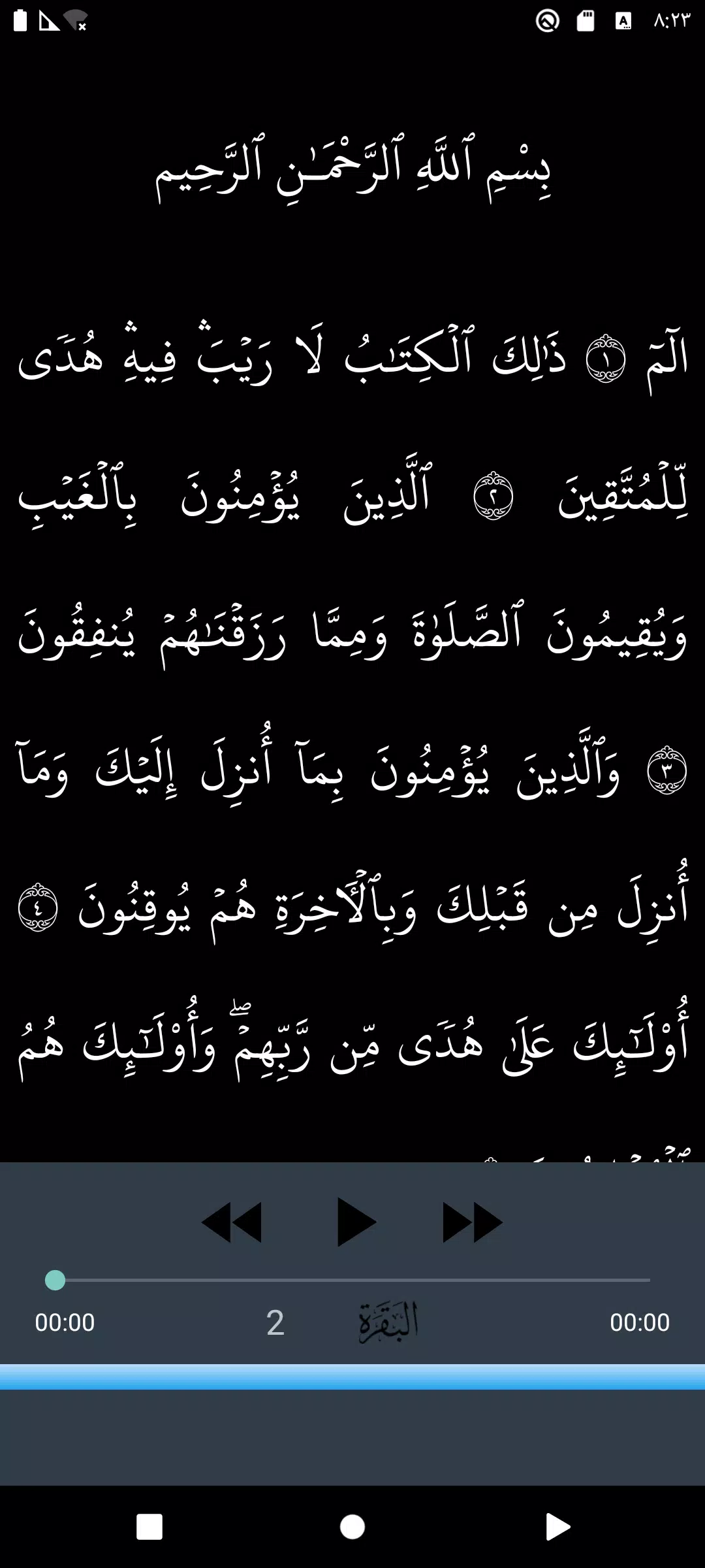 Mansour Salimi quality sound Screenshot 3