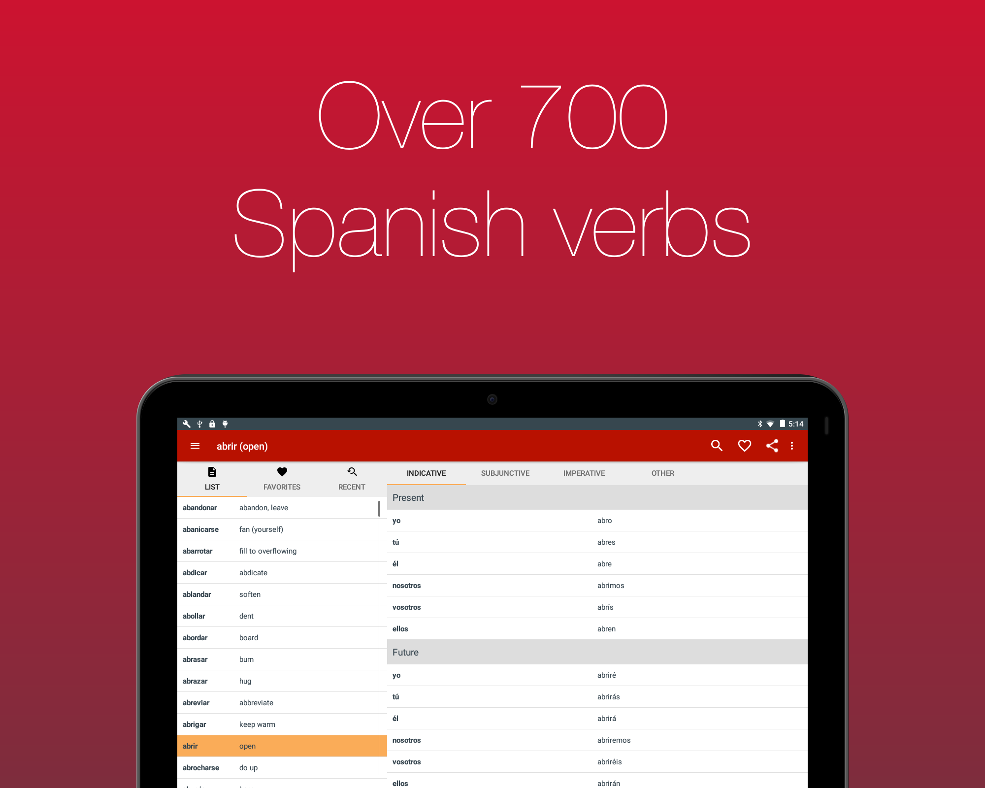 Spanish Verb Conjugator Screenshot 13