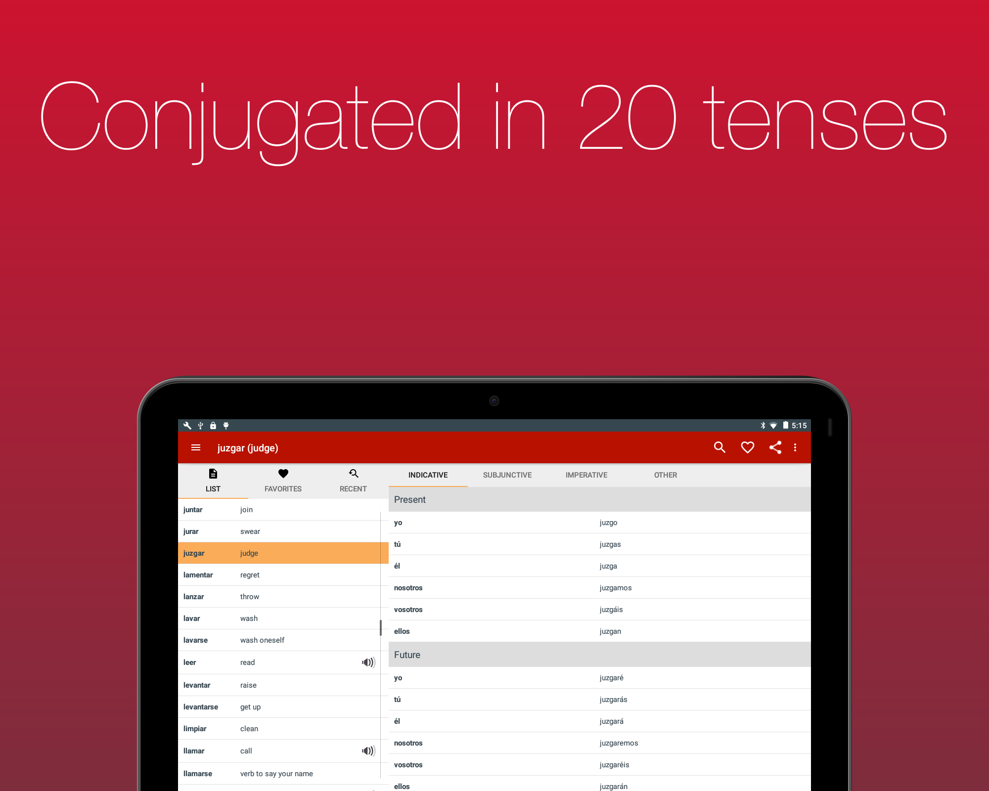 Spanish Verb Conjugator Screenshot 15
