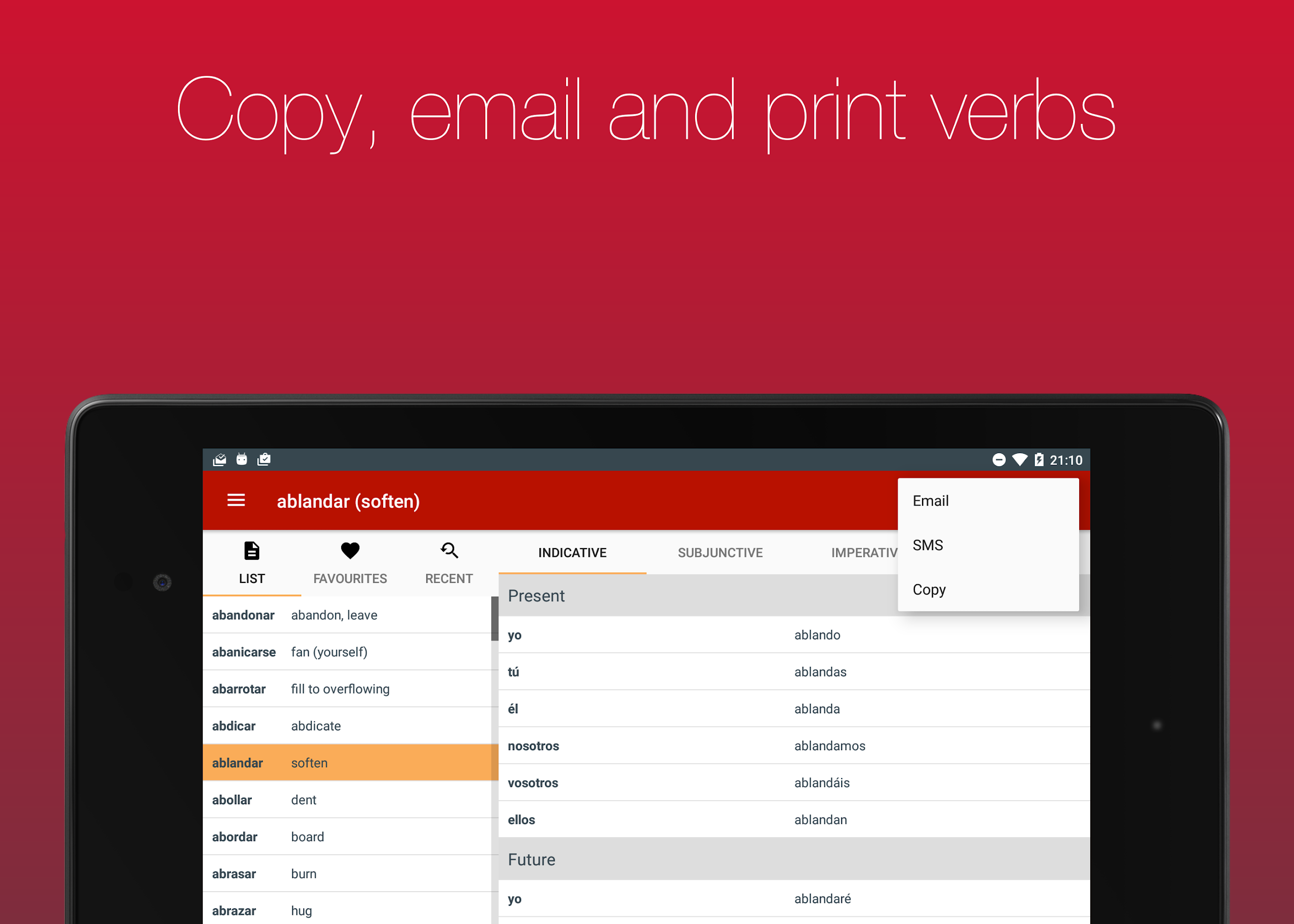 Spanish Verb Conjugator Screenshot 10