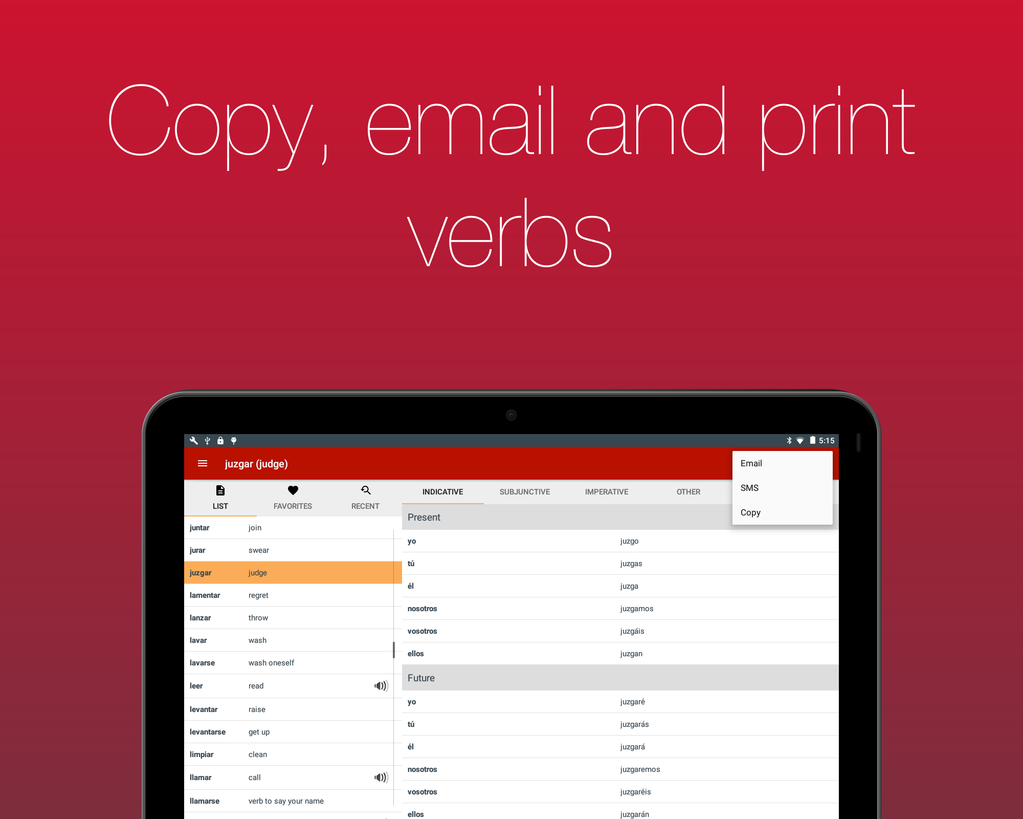 Spanish Verb Conjugator Screenshot 16
