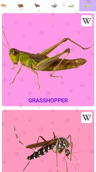 Animal Sounds Screenshot 4