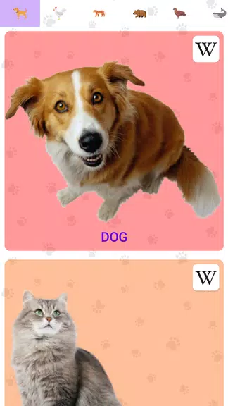 Animal Sounds Screenshot 1